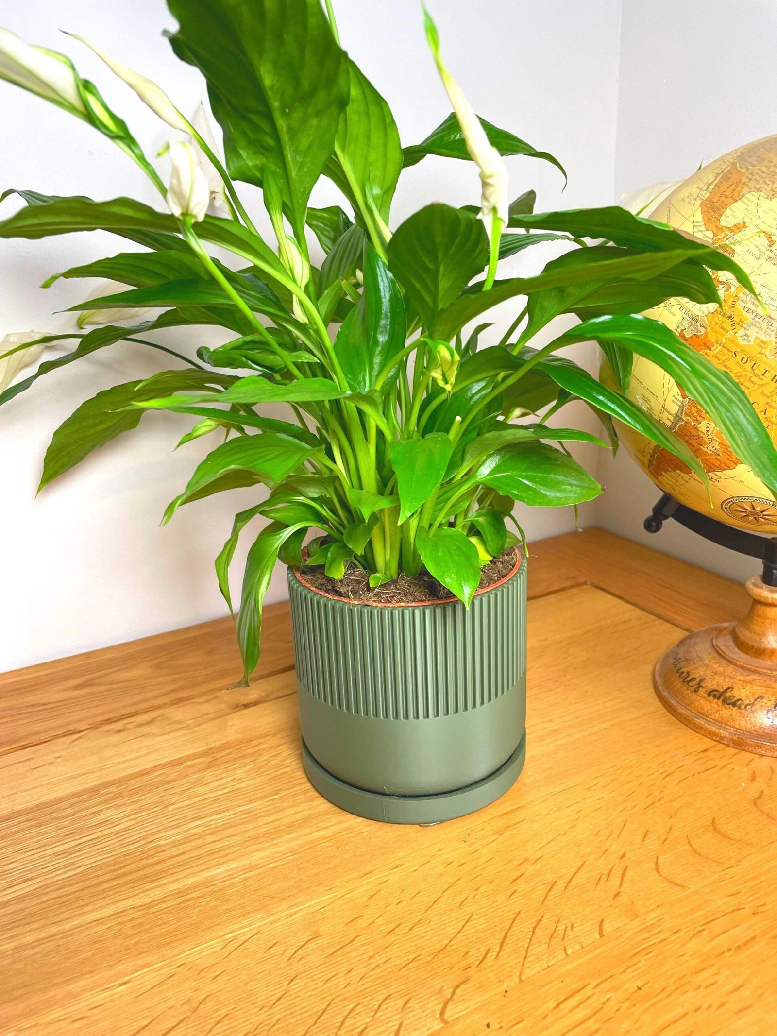 Mid-Century Modern Planter Pot | Custom colours | Stylish design | Drip Tray and Drainage Holes