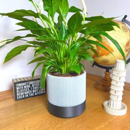 Mid-Century Ribbed Planter 11cm | Custom colours | Stylish design | Hidden drip tray | Two-Tone | Home Decor | Indoor Planter