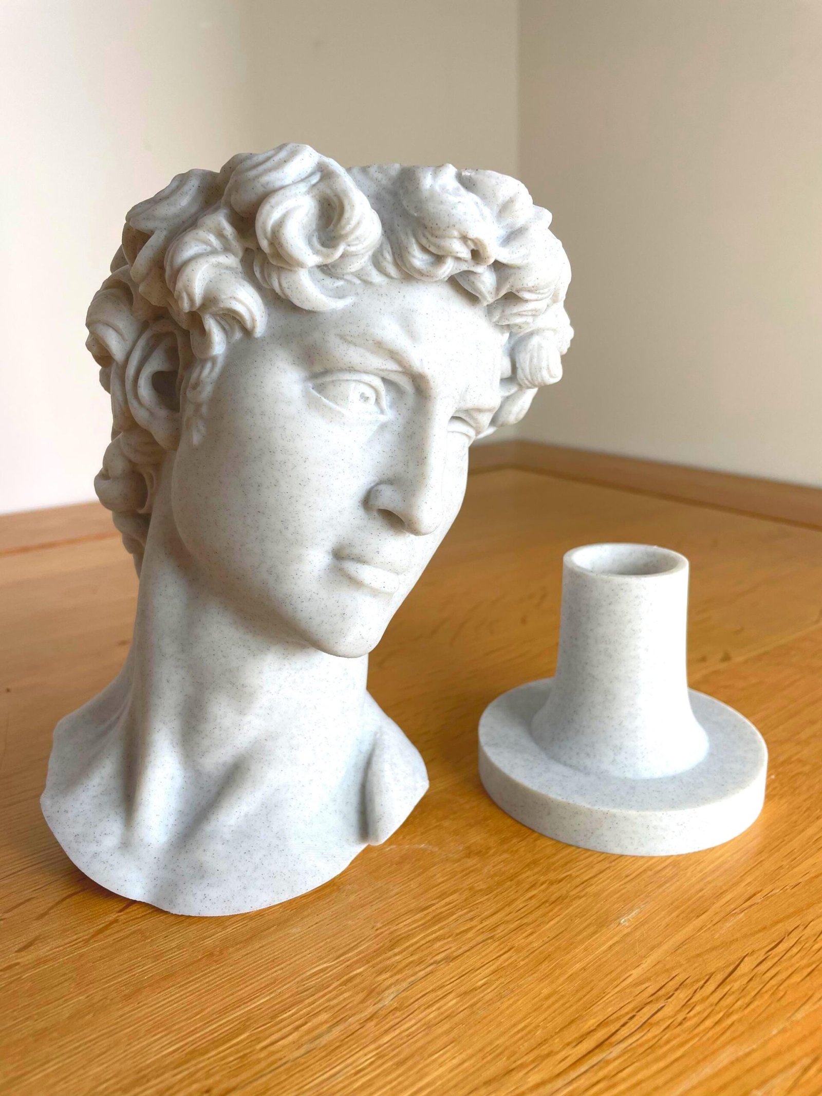 David Bust Planter – Tabletop Sculpture with Drip Tray | 3D Printed in Custom Colour | Indoor Plant Pot | Michelangelo Decor