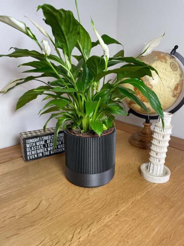 Mid-Century Ribbed Planter 11cm | Custom colours | Stylish design | Hidden drip tray | Two-Tone | Home Decor | Indoor Planter