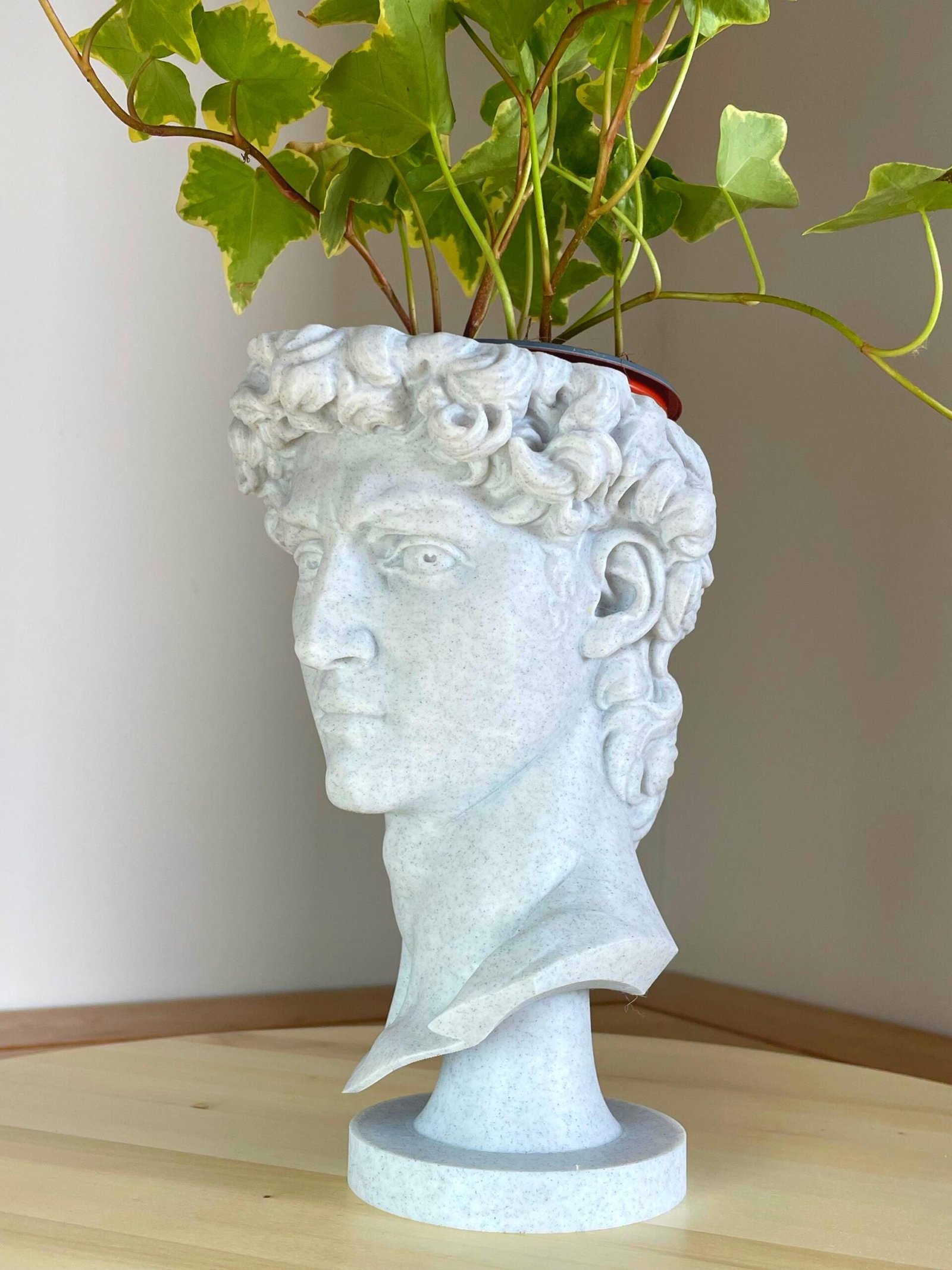 David Bust Planter – Tabletop Sculpture with Drip Tray | 3D Printed in Custom Colour | Indoor Plant Pot | Michelangelo Decor