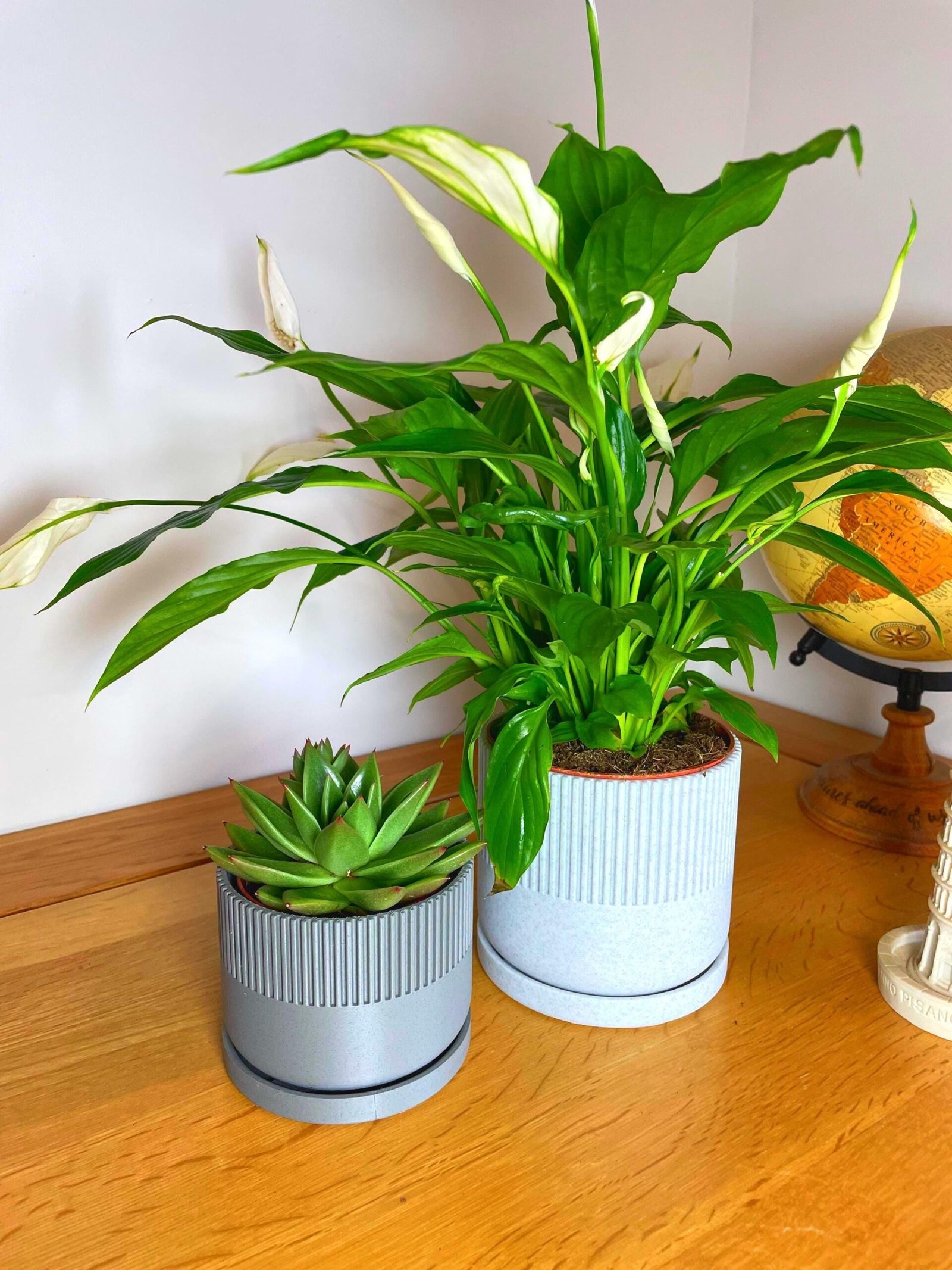 Mid-Century Modern Planter Pot | Custom colours | Stylish design | Drip Tray and Drainage Holes