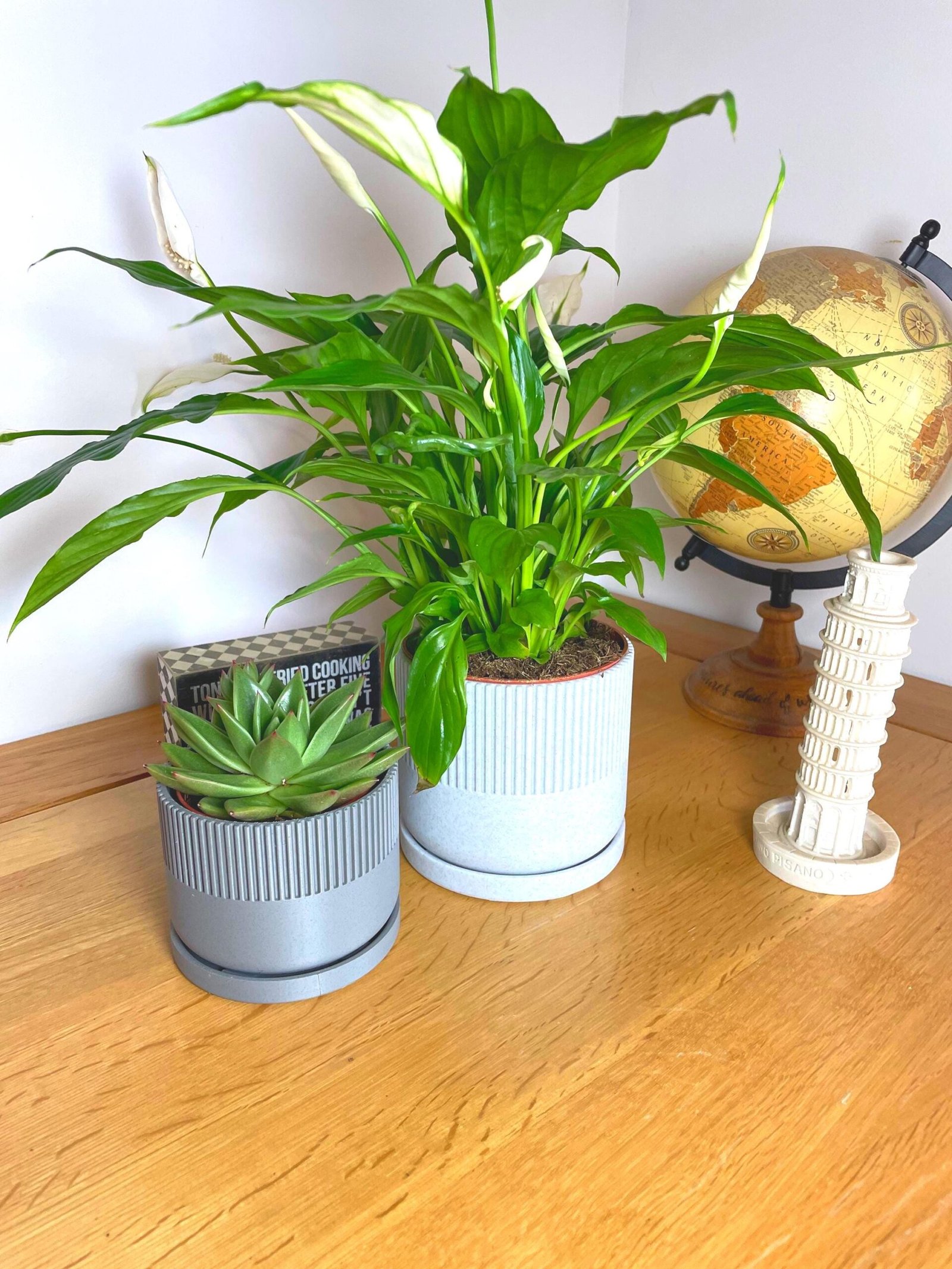 Mid-Century Modern Planter Pot | Custom colours | Stylish design | Drip Tray and Drainage Holes