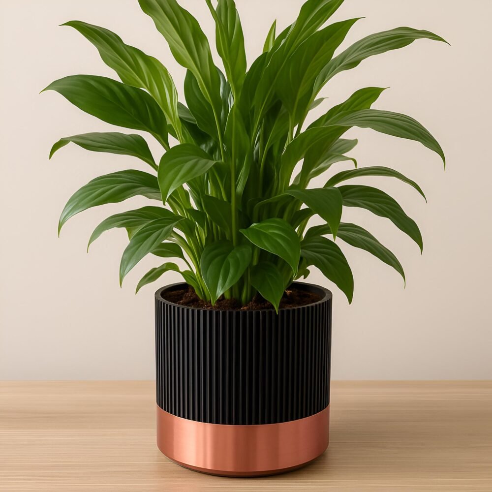 il_fullxfull.6959078439_bp2t.jpg Mid-Century Ribbed Planter 11cm | Custom colours | Stylish design | Hidden drip tray | Two-Tone | Home Decor | Indoor Planter