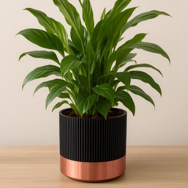 Mid-Century Ribbed Planter 11cm | Custom colours | Stylish design | Hidden drip tray | Two-Tone | Home Decor | Indoor Planter