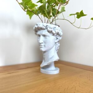 David Bust Planter – Tabletop Sculpture with Drip Tray | 3D Printed in Custom Colour | Indoor Plant Pot | Michelangelo Decor