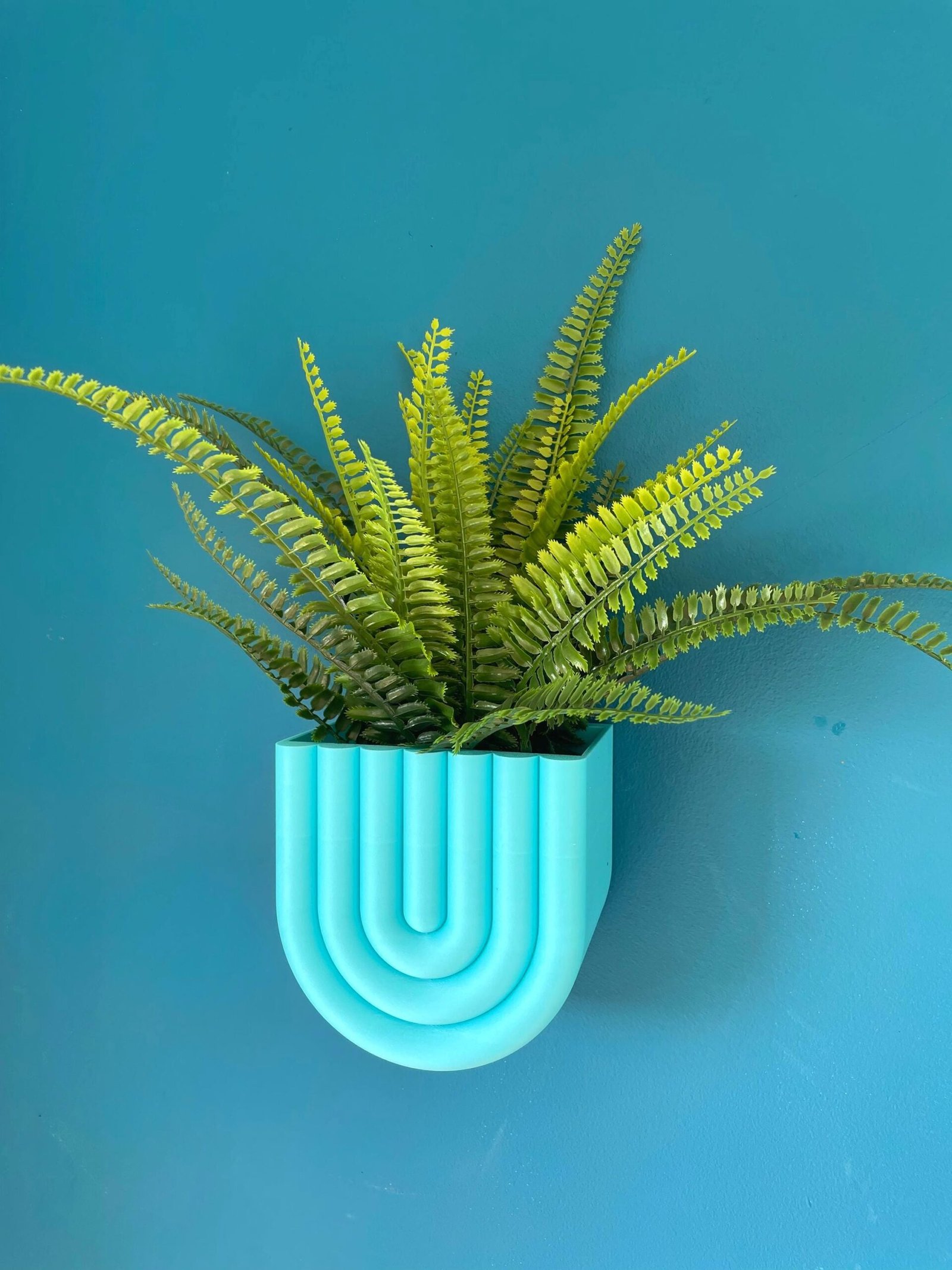 Wall Mounted U-Shape Plant Pot in Custom Colours | Stylish design | Hidden Drip Tray & Removable planting basket