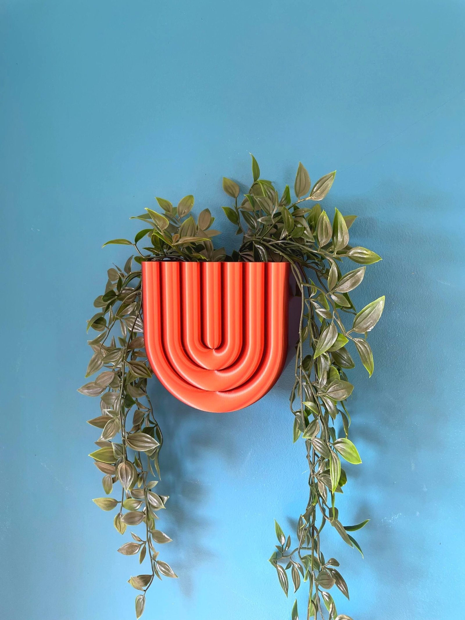 Wall Mounted U-Shape Plant Pot in Custom Colours | Stylish design | Hidden Drip Tray & Removable planting basket