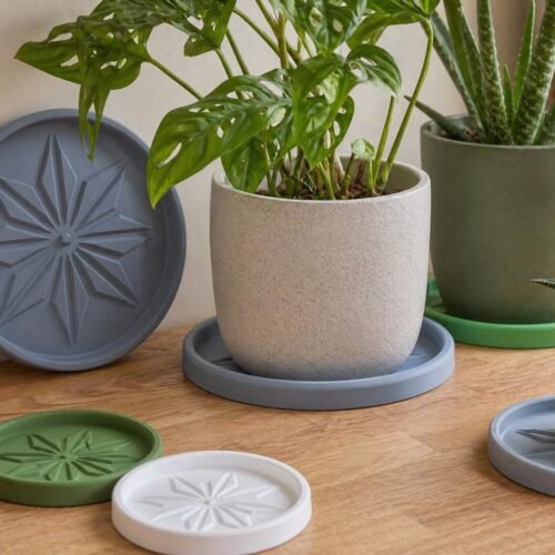 image_02 Plant Tray – Drip Tray for Indoor Plants | Plant Pot Saucer / Coaster