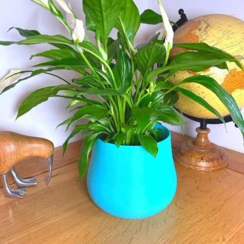image_07 3D Printed Colorful Planter: Bulbous Indoor Plant Pot, Modern Decor