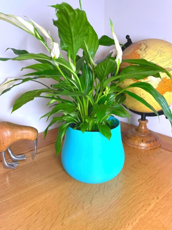 image_07 3D Printed Colorful Planter: Bulbous Indoor Plant Pot, Modern Decor