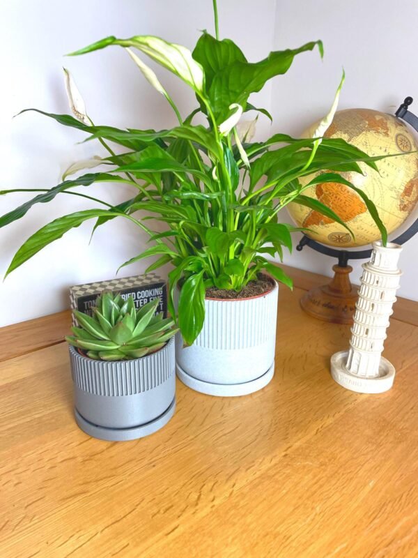 image_07 Mid-Century Modern Planter Pot | Custom colours | Stylish design | Drip Tray and Drainage Holes